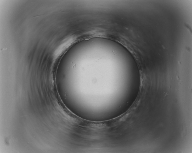 X0000103290245200809122014