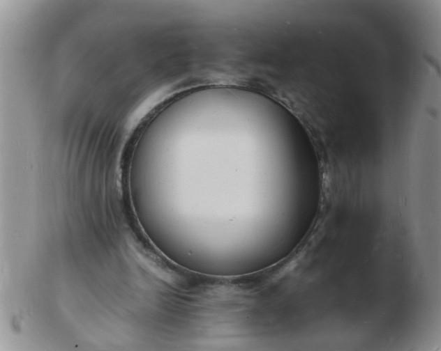 X0000103290246200809122014