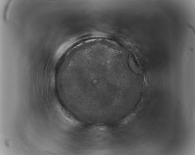 X0000103290247200809122014