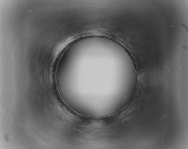 X0000103290248200809122014