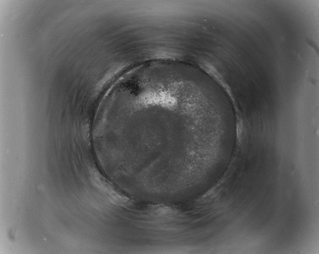 X0000103290249200809122014