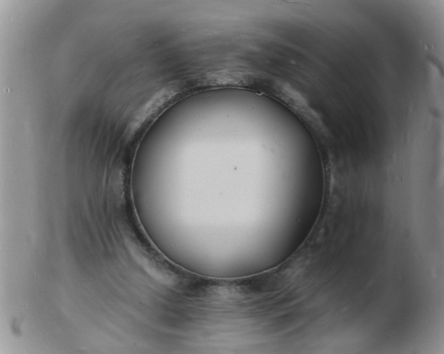 X0000103290250200809122014