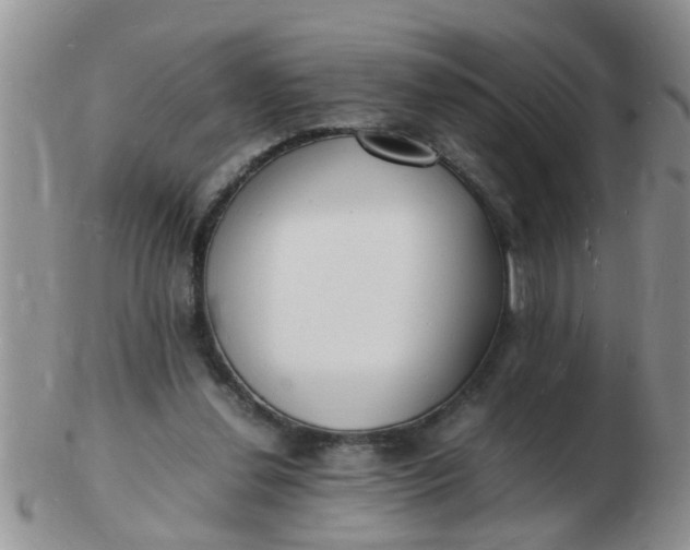 X0000103290252200809122014