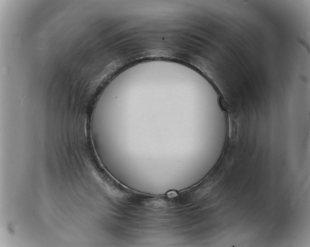 X0000103290253200809122014