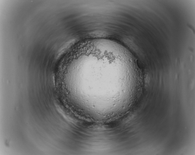 X0000103290254200809122014