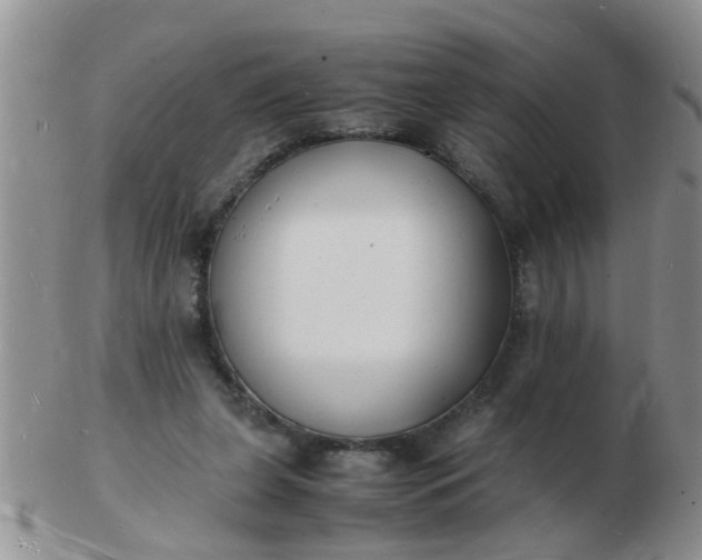 X0000103290255200809122014