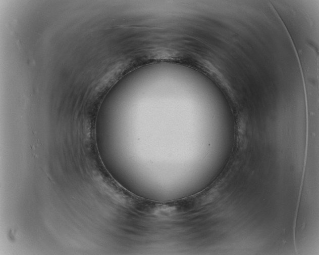 X0000103290257200809122014