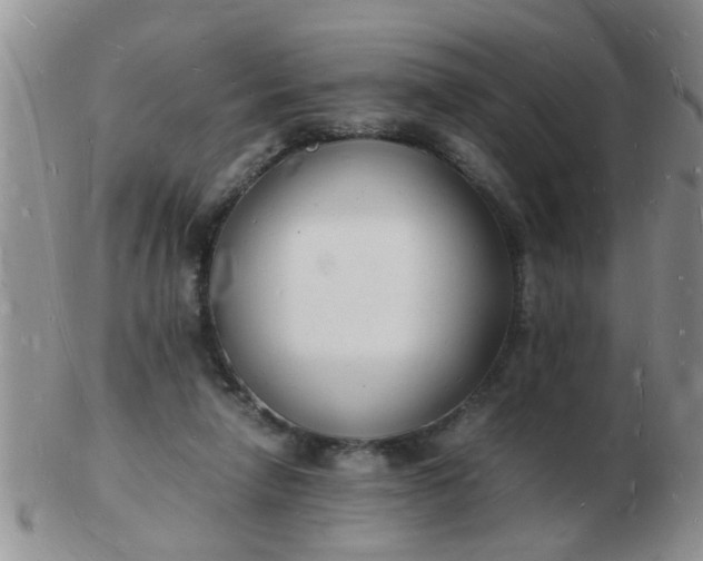 X0000103290258200809122014