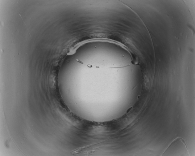 X0000103290259200809122014