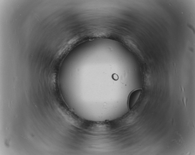 X0000103290260200809122014