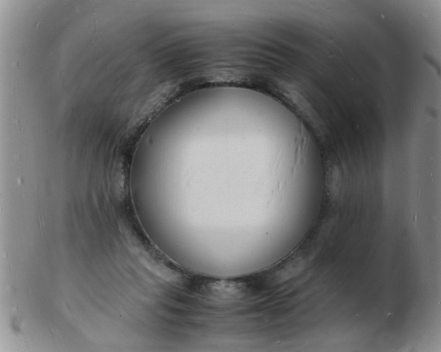 X0000103290261200809122014