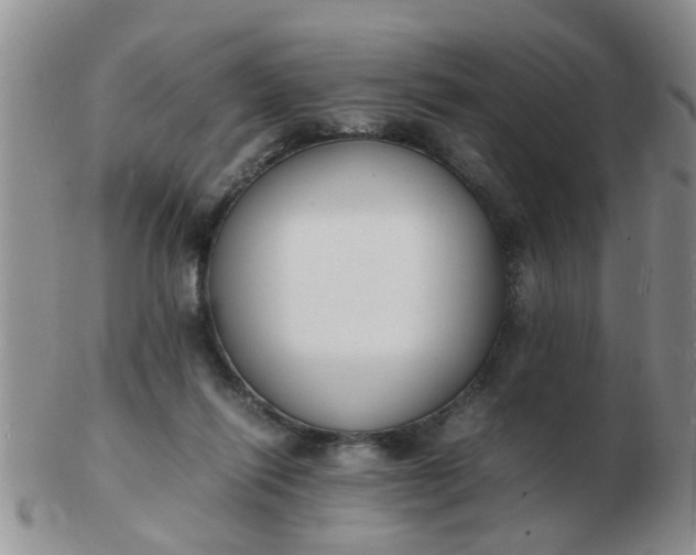 X0000103290262200809122014