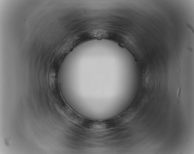 X0000103290263200809122014