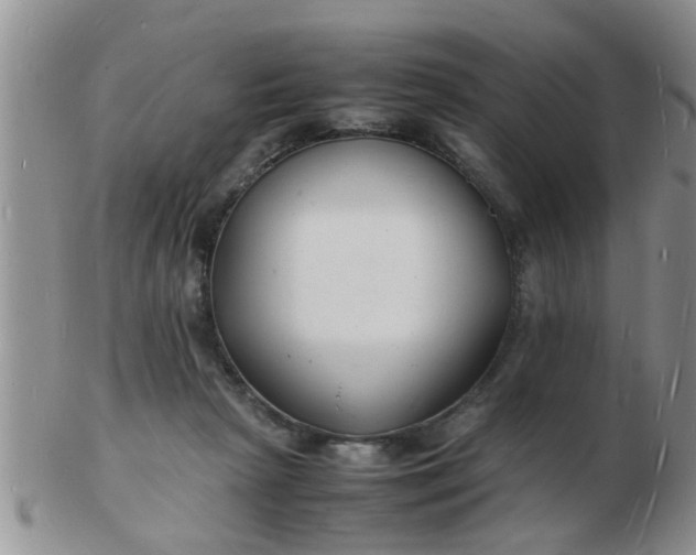 X0000103290265200809122014