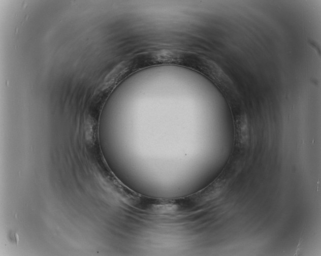 X0000103290266200809122014