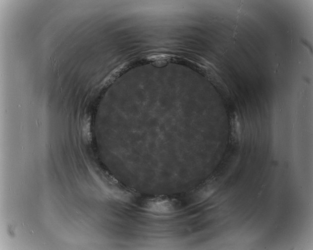 X0000103290267200809122014