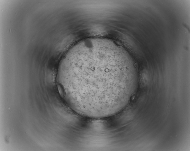 X0000103290268200809122014