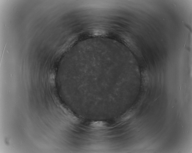 X0000103290269200809122014