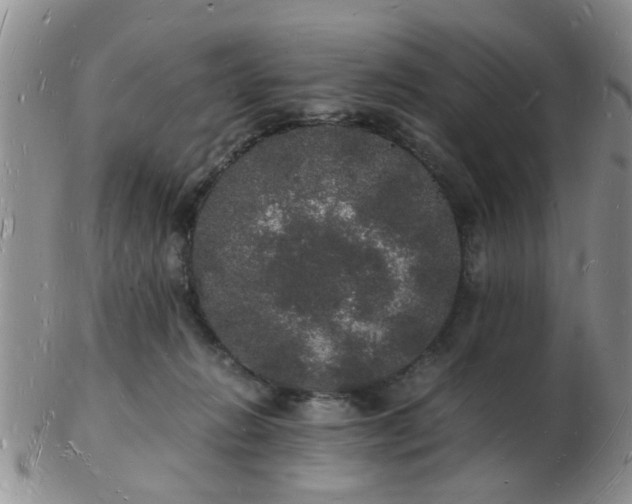 X0000103290270200809122014