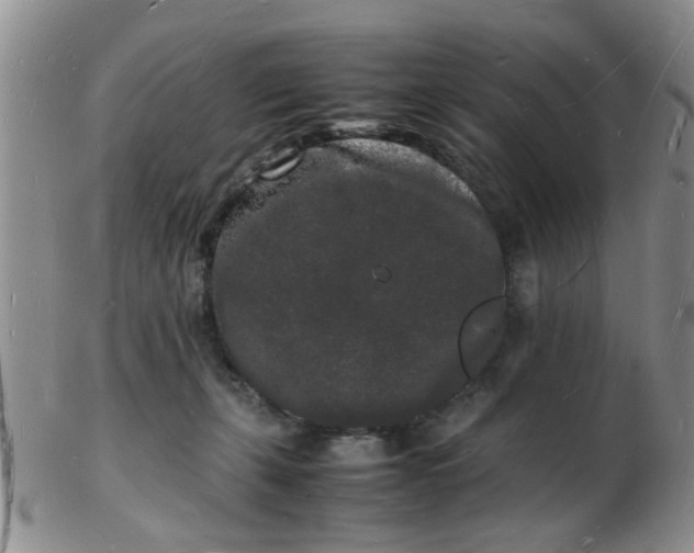 X0000103290271200809122014