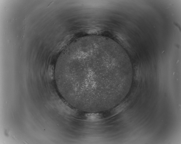 X0000103290273200809122014