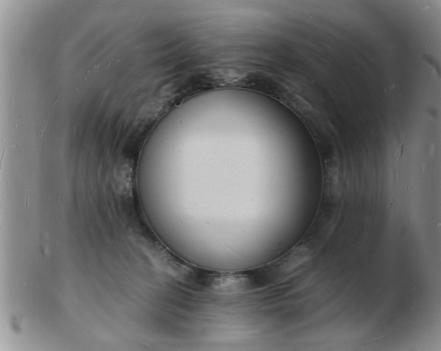 X0000103290274200809122014