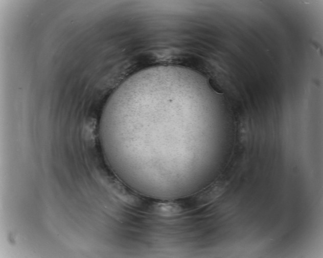 X0000103290275200809122014