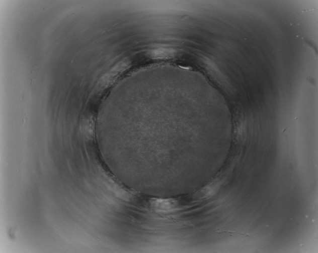 X0000103290277200809122014