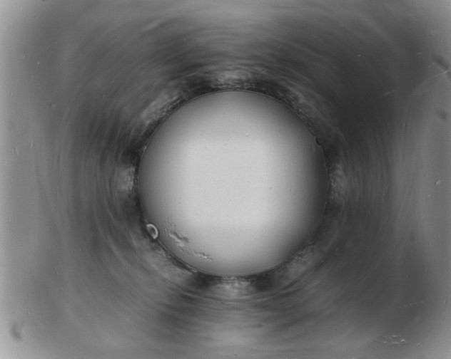 X0000103290278200809122014