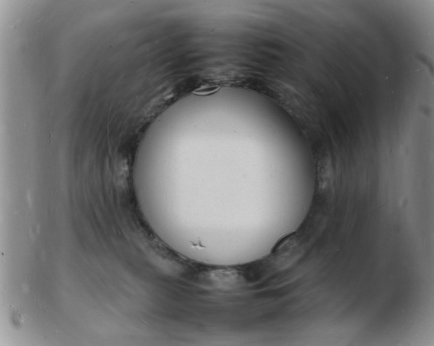 X0000103290279200809122014