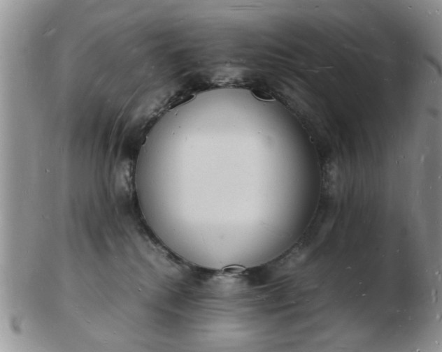 X0000103290280200809122014