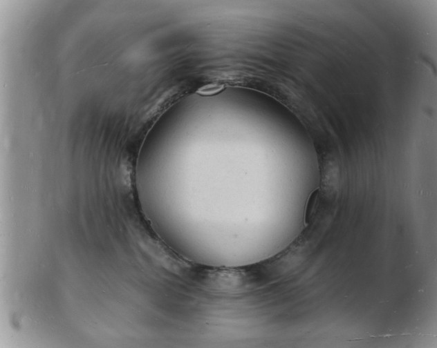 X0000103290282200809122014