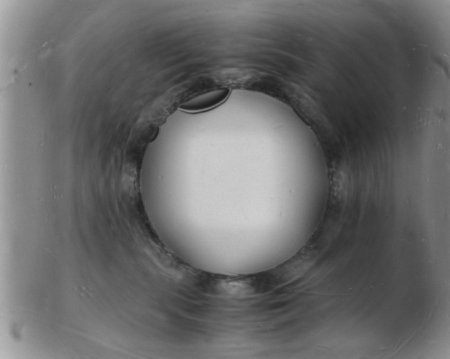 X0000103290283200809122014