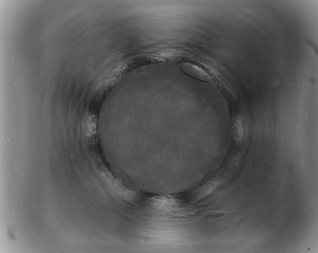 X0000103290284200809122014