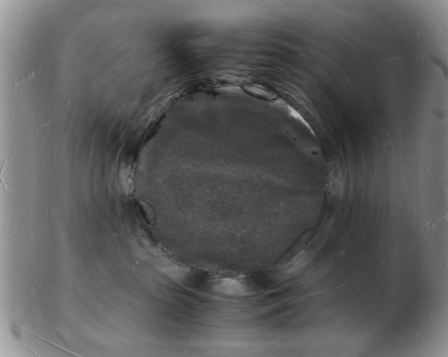 X0000103290285200809122014