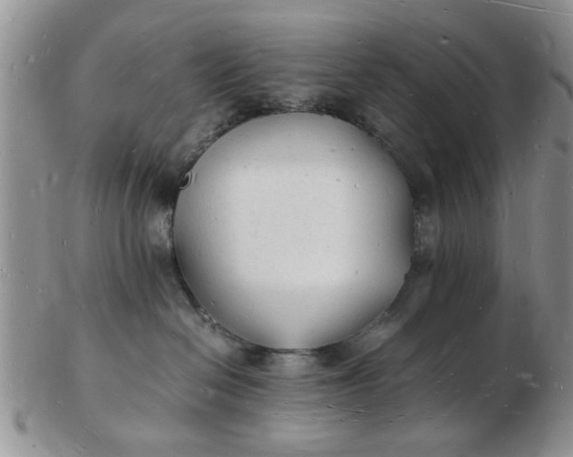 X0000103290286200809122014