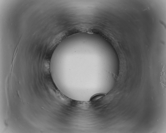 X0000103290288200809122014