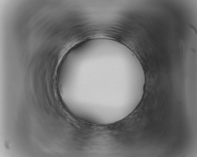 X0000103290289200809122013