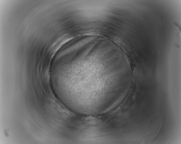 X0000103290290200809122013