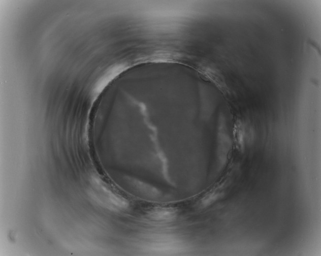 X0000103290292200809122013