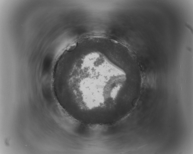 X0000103290293200809122013