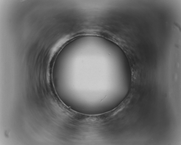 X0000103290294200809122013