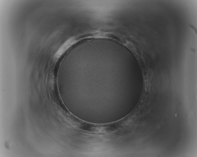 X0000103290295200809122013