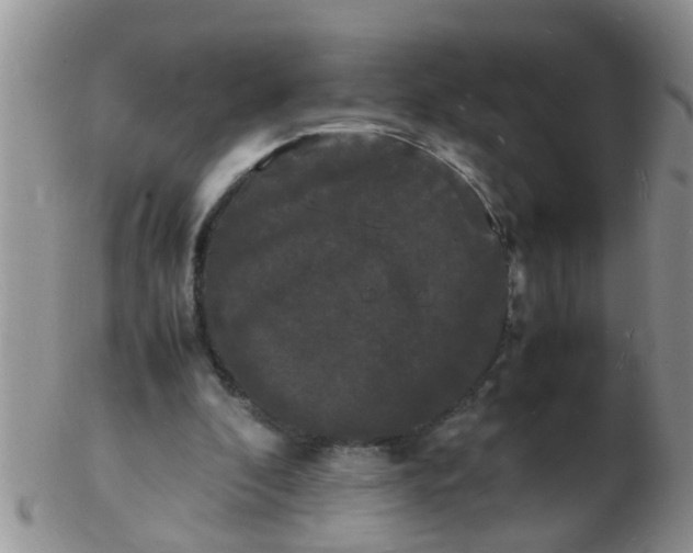 X0000103290296200809122013