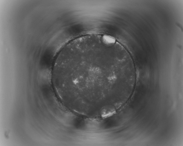 X0000103290297200809122013