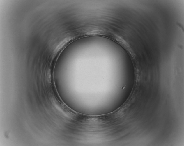 X0000103290298200809122013