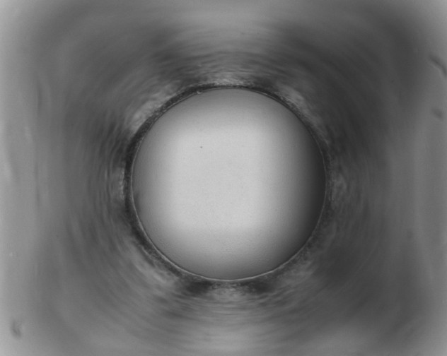 X0000103290299200809122013