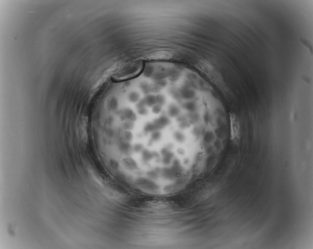 X0000103290300200809122013