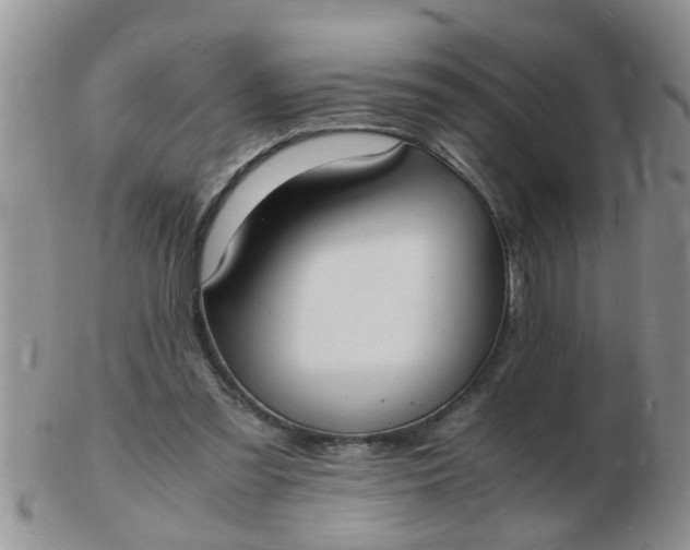 X0000103290301200809122013