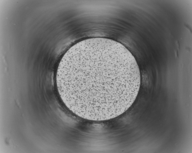 X0000103290302200809122013